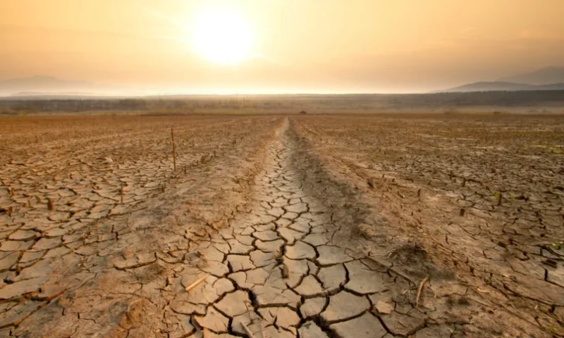 Sindh Under Drought Alert as Rainfall Drops by 52%