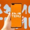 Temu Unites the Subcontinent… in Mutual Disgust